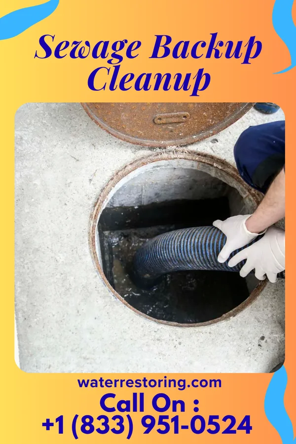 Sewage Backup Cleanup in Round Lake Beach, IL