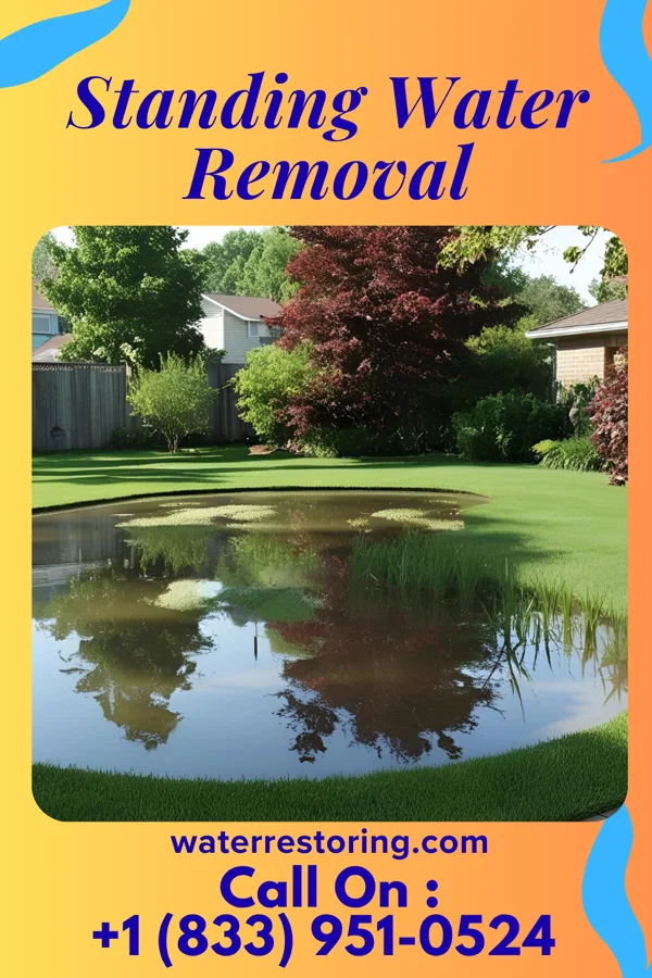 Standing Water Removal in Round Lake Beach, IL